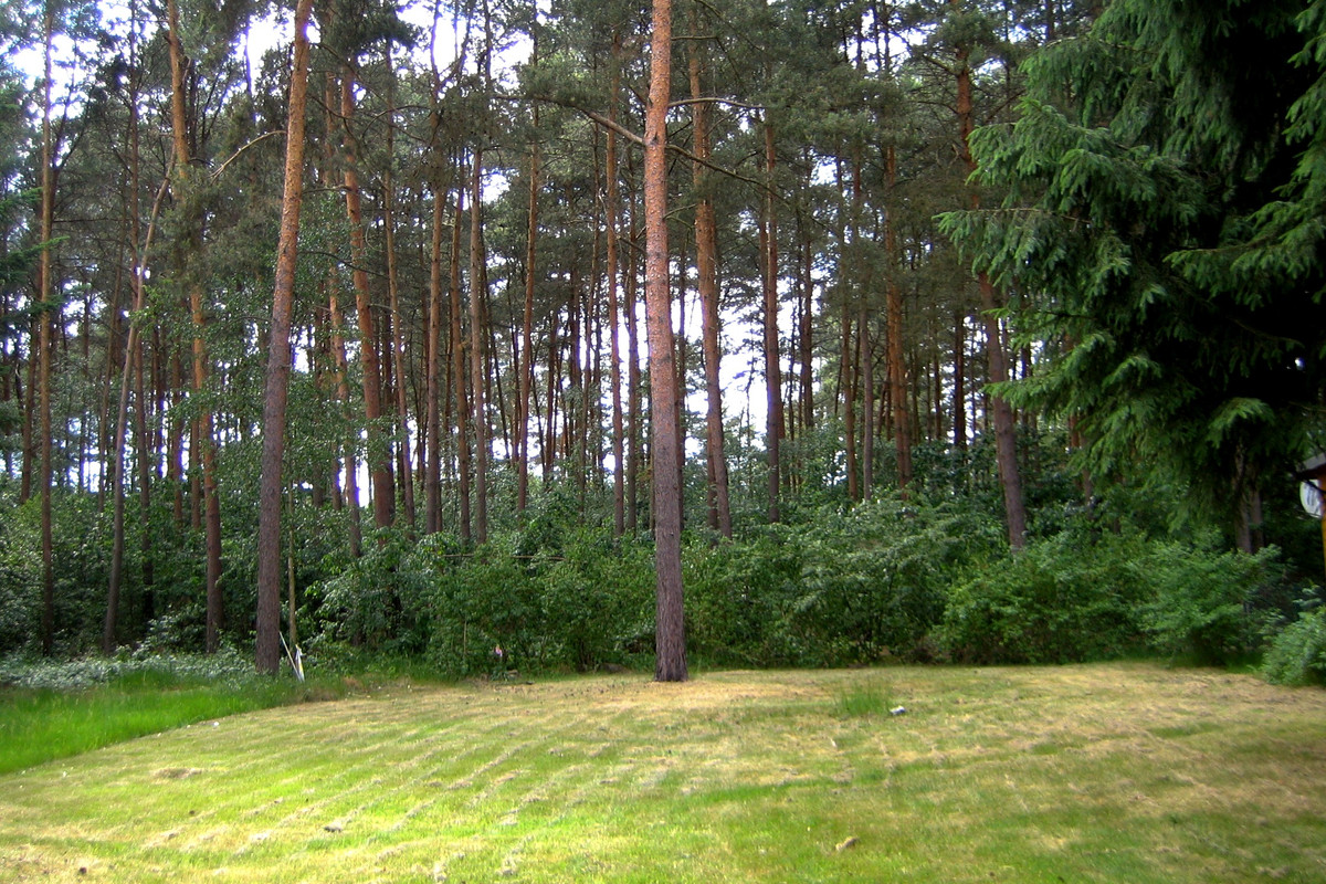 Campingplatz Waldesruh